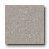 Santa Regina Architectural 24 X 24 (natural) Taupe