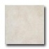 Tesoro Colorado 8 X 12 Sand Tile & Stone