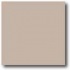 Daltile Natural Hues 4 X 8 Beige Pinpoint Tile & Stone
