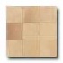 Daltile Valle D Aosta 13 X 20 Sabbia Noce Tile & Stone