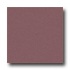 Milliken Harmony 11 X 13 Mellow Mauve Area Rugs
