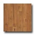 Pergo Accolade With Underlayment Savanna Oak Laminate Flooring