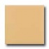 Daltile Liners Flat 1 X 6 Luminary Gold Tile & Stone