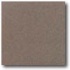 Daltile Vitrestone Select 8 X 8 Eggplant Tile  and  St