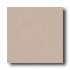 Crossville Cross-colors A 8 X 8 Polished Seal Taupe Tile & Stone