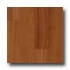 Harris-tarkett Ovations One Strip 7 Foot Brazilian Cherry Natura