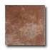 Emser Tile Antica Venezia 12 X 12 Terracotta Tile & Stone