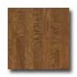 Mannington Black Forest Cherry Cherry Allspice Har