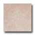 Nafco Custom Quarry Toast Vinyl Flooring