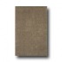 Mohawk Shag 5 X 8 Northern Lights Quarry Area Rugs