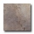 Mohawk Quarry Stone 4 X 4 Slate Tile & Stone