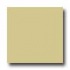 Daltile Design Porcelain Unpolished 4 X 4 Zolfo Tile & Stone