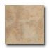 Emser Tile Cardiff 16 X 16 Caramel Tile & Stone