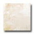 Tesoro Elegance 20 X 20 Osso Tile & Stone