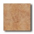 New World X Series 18 X 18 Brown Tile  and  Stone