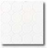 Daltile Octagon & Dot Matte White/ White Matte Dot Tile & Stone