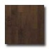 Harris-tarkett Artisan Profiles Maple Dark Mustang Hardwood Floo