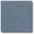 Daltile Vitrestone Select 8 X 8 Bluestone Tile & Stone