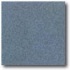 Daltile Vitrestone Select 8 X 8 Bluestone Tile  and  S