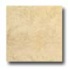 Daltile Diamante Polished 12 X 12 Crema Polished Tile & Stone
