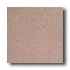 American Olean Terra Paver Unpolished 8 X 8 Ash Rose Tile & Ston
