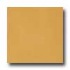 Marazzi Le Cromie Polished 12 X 12 Zolfo Tile & Stone