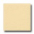 Daltile Keystones Permabrites Mosaic 2 X 2 Gloss Cornsilk Tile &