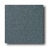 American Olean Terra Granite 12 X 12 Speckled Coal Tile & Stone