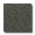 Santa Regina Architectural 24 X 24 (natural) Chocolate Brown Ter