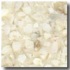 Fritztile Custom Ct300 Ivory Beige Tile & Stone