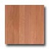 Somerset Color Collections Plank 3 Solid Seashell Hardwood Floor