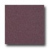 Armstrong Medintech Homogeneous Deep Purple Vinyl Flooring