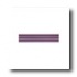 American Olean Sizzle Strips 6 X 2 Imperial Purple Tile & Stone