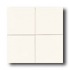 American Olean Cache 3 X 6 Gloss Ice White Tile & Stone