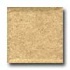 Portobello Rainforest 3 X 3 Sand Tile & Stone