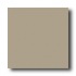 American Olean Quarry Tile 6 X 6 Fawn Gray Tile & Stone