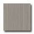 Daltile Fabrique 12 X 24 Light Polished Rectified Gris Linen Til