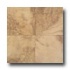 Daltile Aspen Lodge 6 X 6 Golden Ridge Tile & Stone