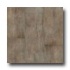 Daltile Timber Glen 12 X 24 Heath Tile & Stone