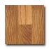 Witex Basis Plus Colonial Oak Laminate Flooring