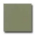 Daltile Liners Flat 1/2 X 6 Garden Spot Tile & Stone