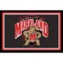 Logo Rugs Maryland University Maryland Area Rug 3 X 5 Area Rugs