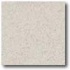 Daltile Porcealto (textured) 8 X 8 Bianco Castiglia Tile & Stone