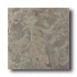American Olean Earthscapes 12 X 18 Rain Forest Tile & Stone