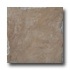 Emser Tile Natural 18 X 18 Wood Tile & Stone