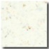 Fritztile Classic Terrazo Cl200 1/8 Thick Durango White Tile & S