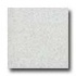 Santa Regina Designer 16 X 16 (antique) Blanco Terrazzo Tile