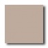 American Olean Unglazed Ceramic Mosaics 2 X 2 Chestnut Tile & St
