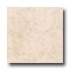Tarkett Preference Plus Nt - Plainfield 6 Gray Vinyl Flooring