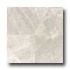 Daltile Limestone 18 X 18 Honed Arctic Gray Tile & Stone